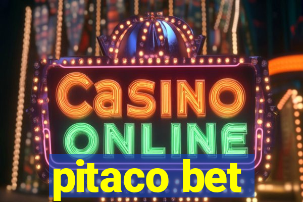 pitaco bet